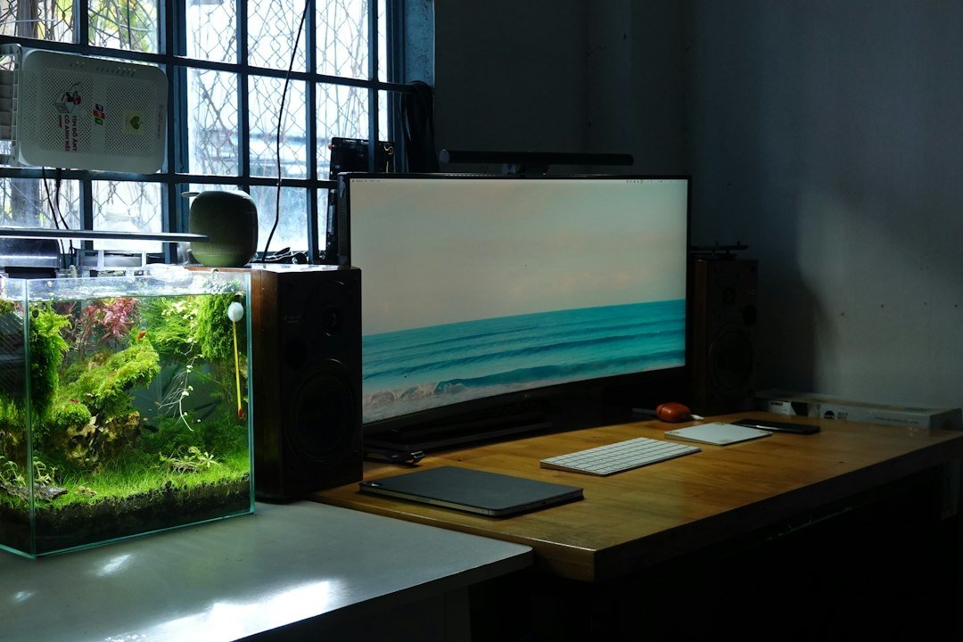 Visual illustration for filter gantung mini aquascape